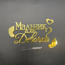 Топпер "Мальчик или девочка" акрил, золото